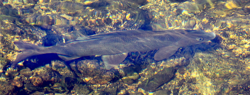 Läs mer