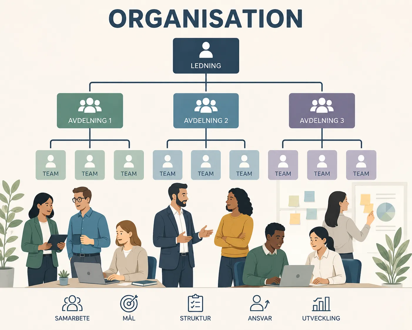 Organisation