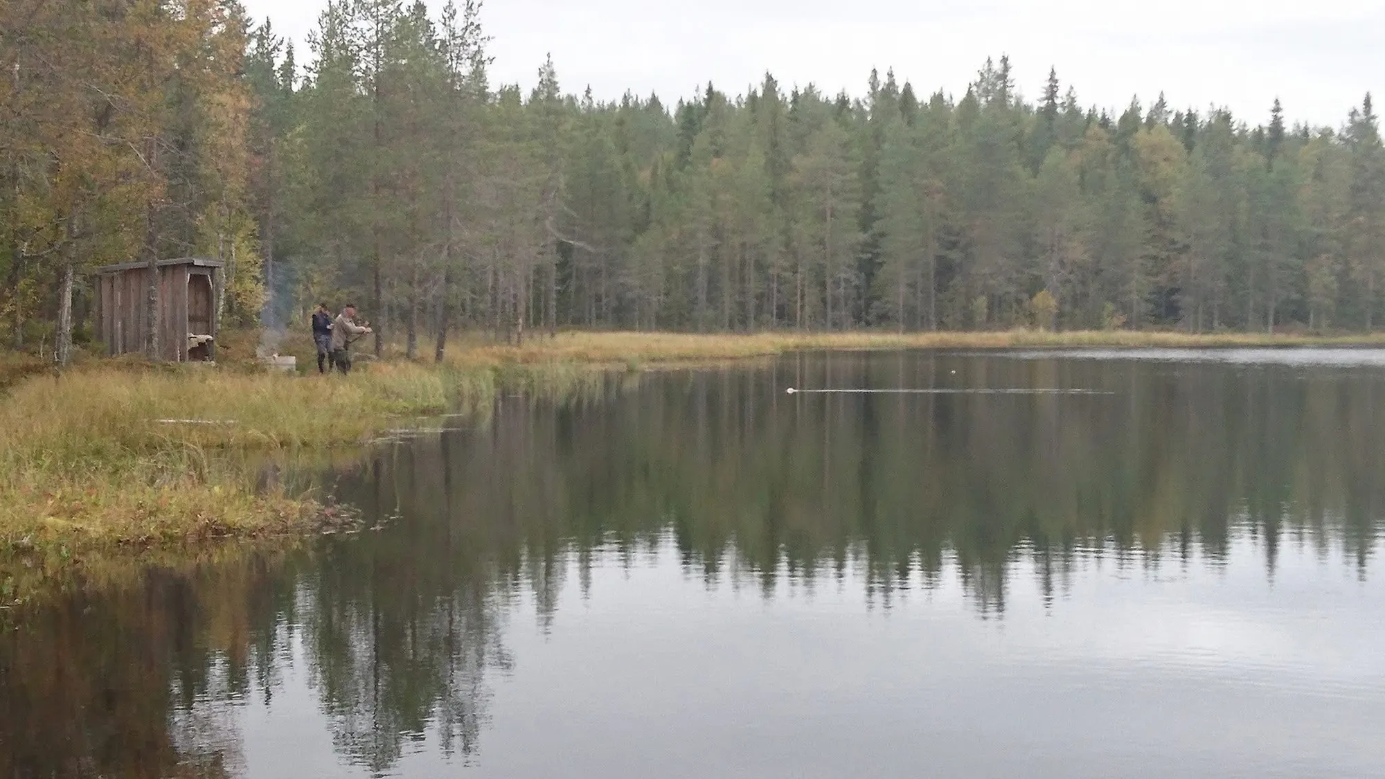 Lilla Tillammstjärn