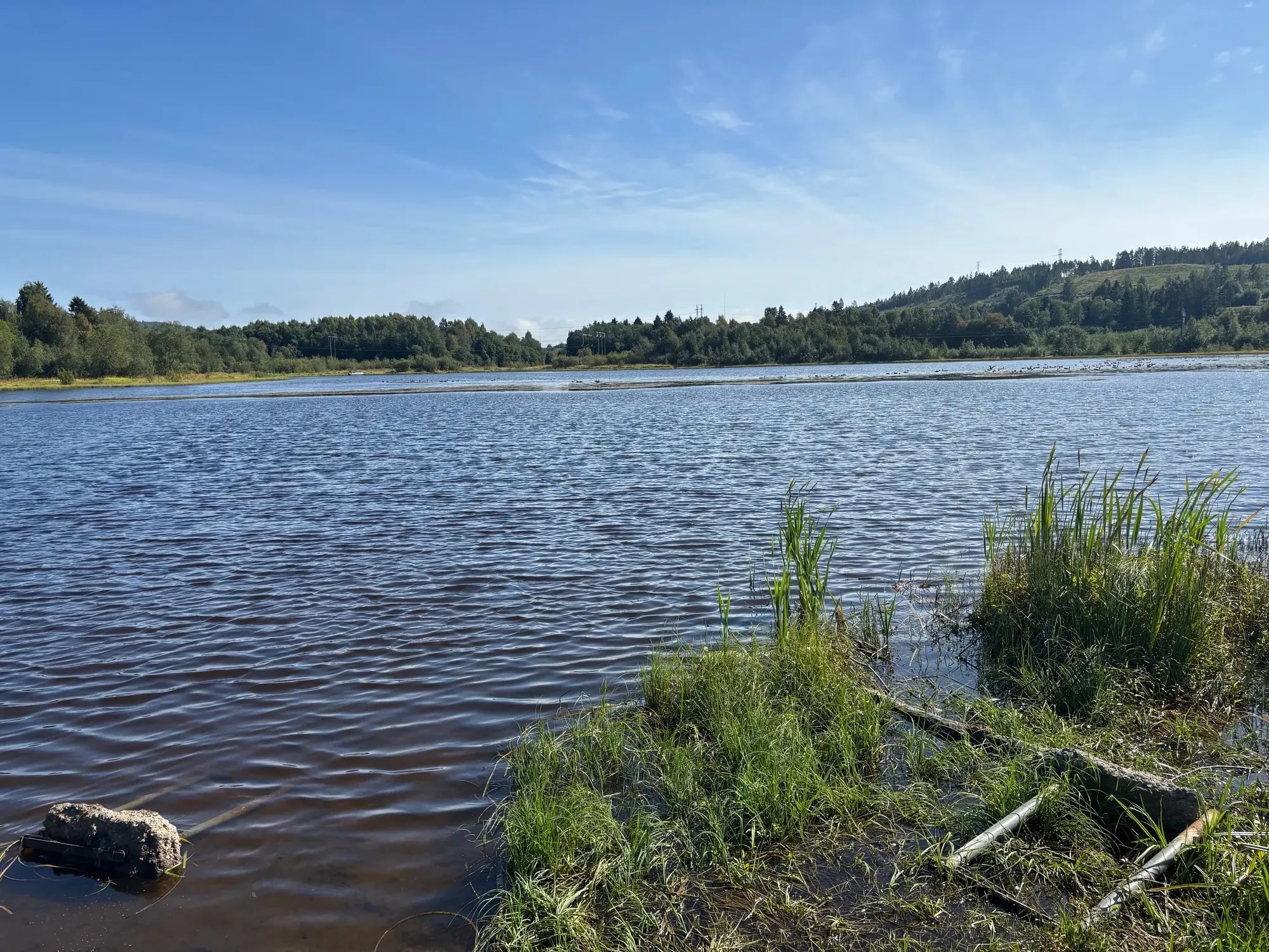 Selångerfjärden