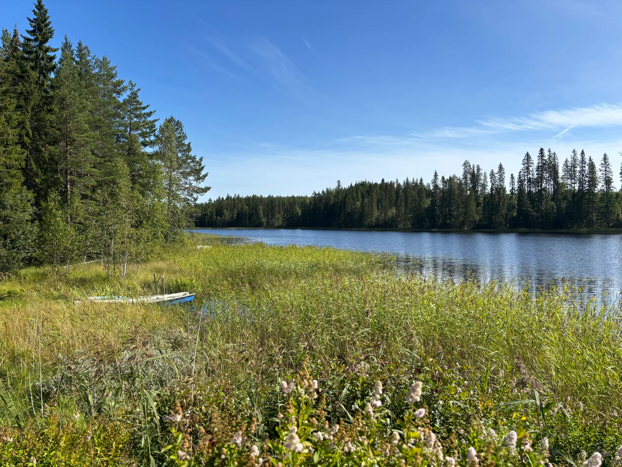 Mosjön