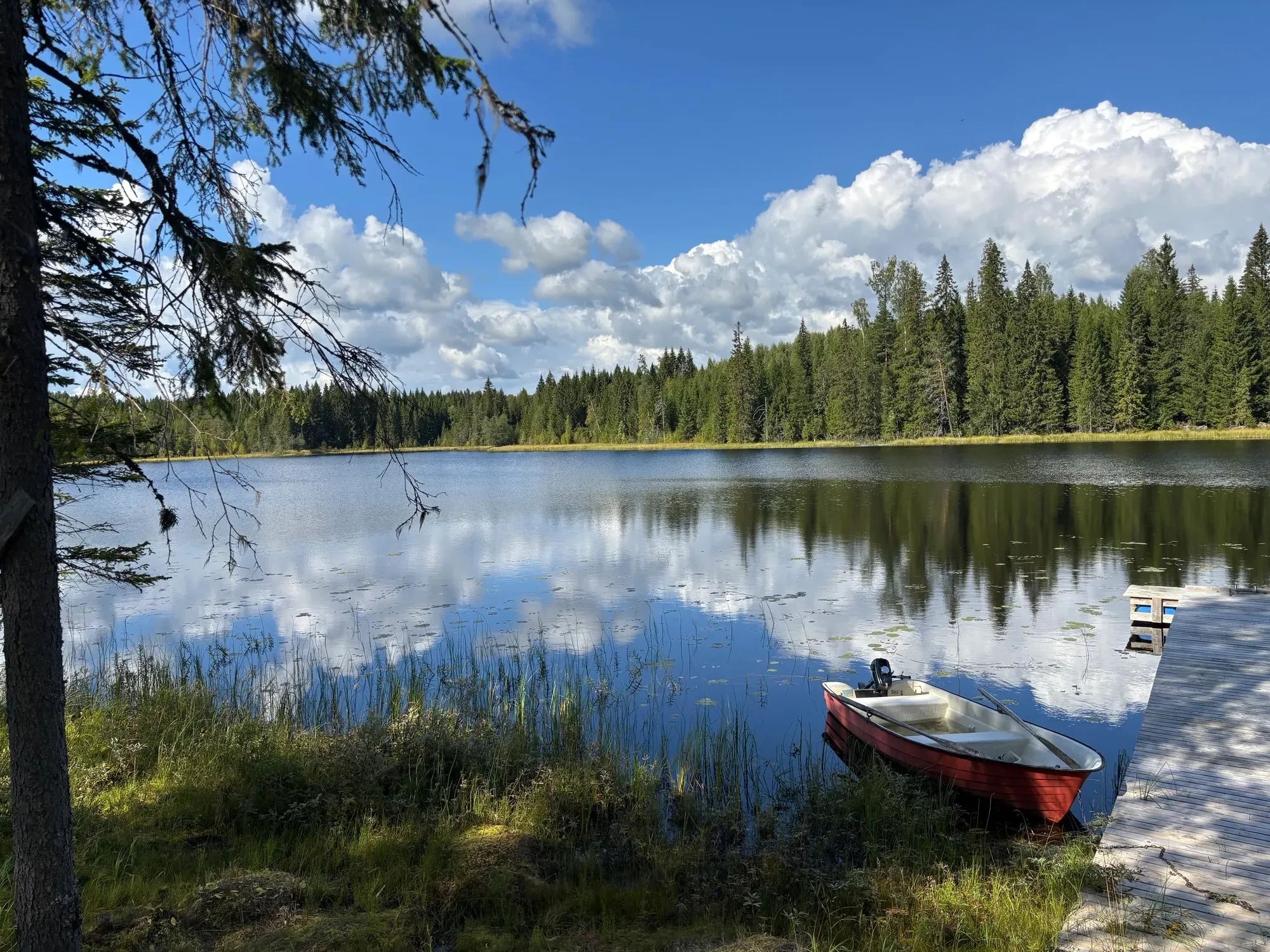 Fittjesjön
