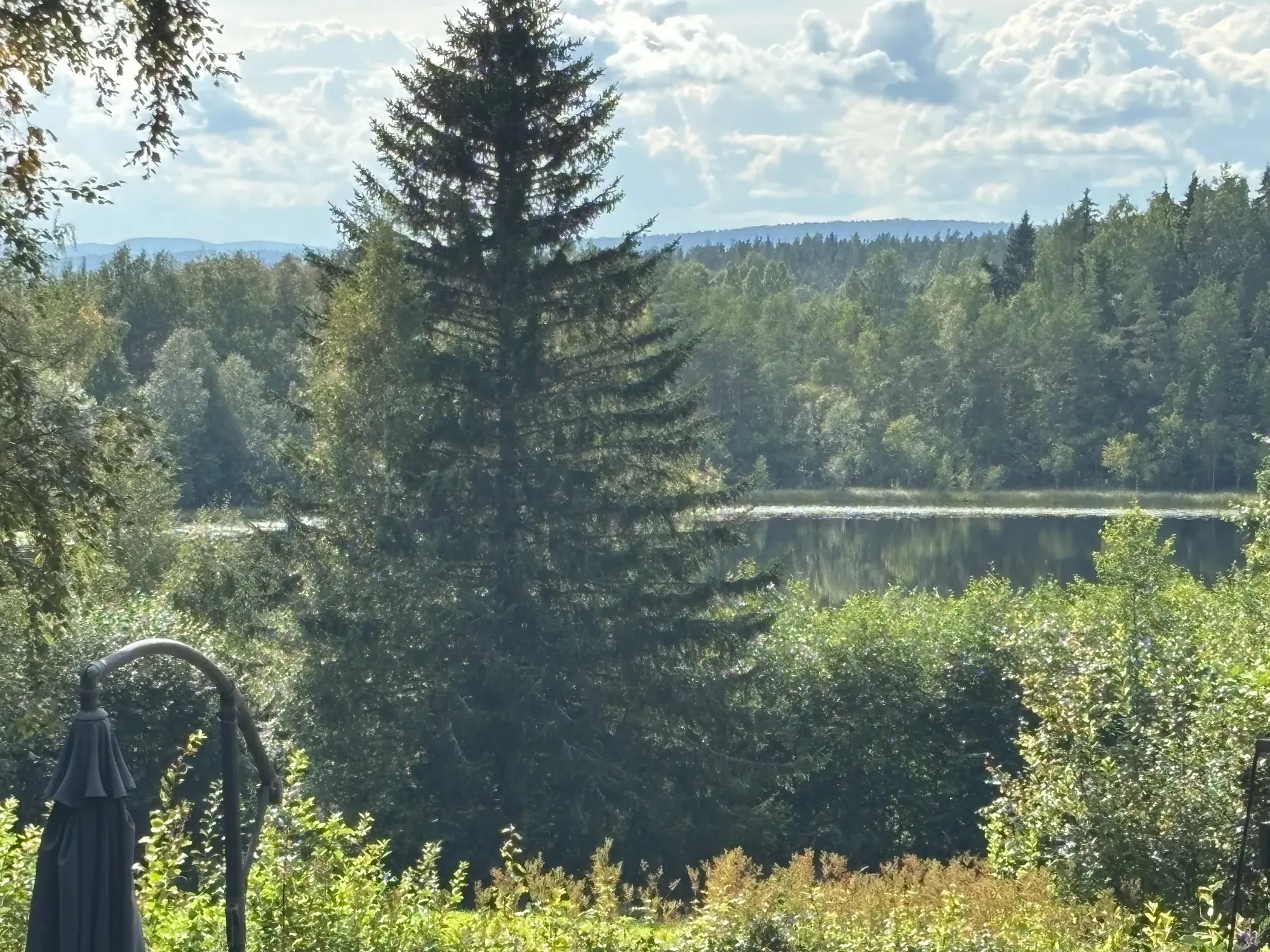 Hulitjärn