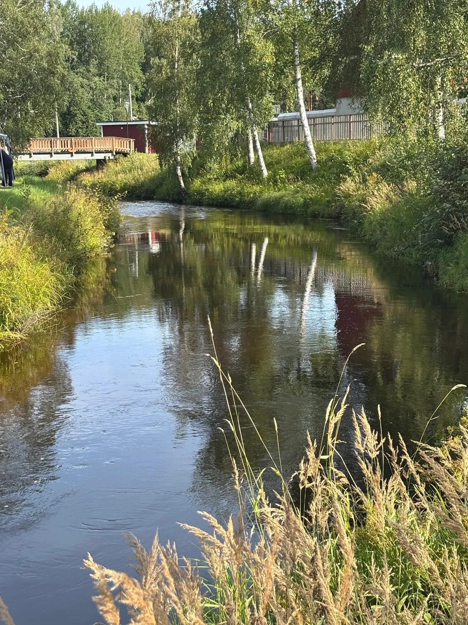 Selångerån