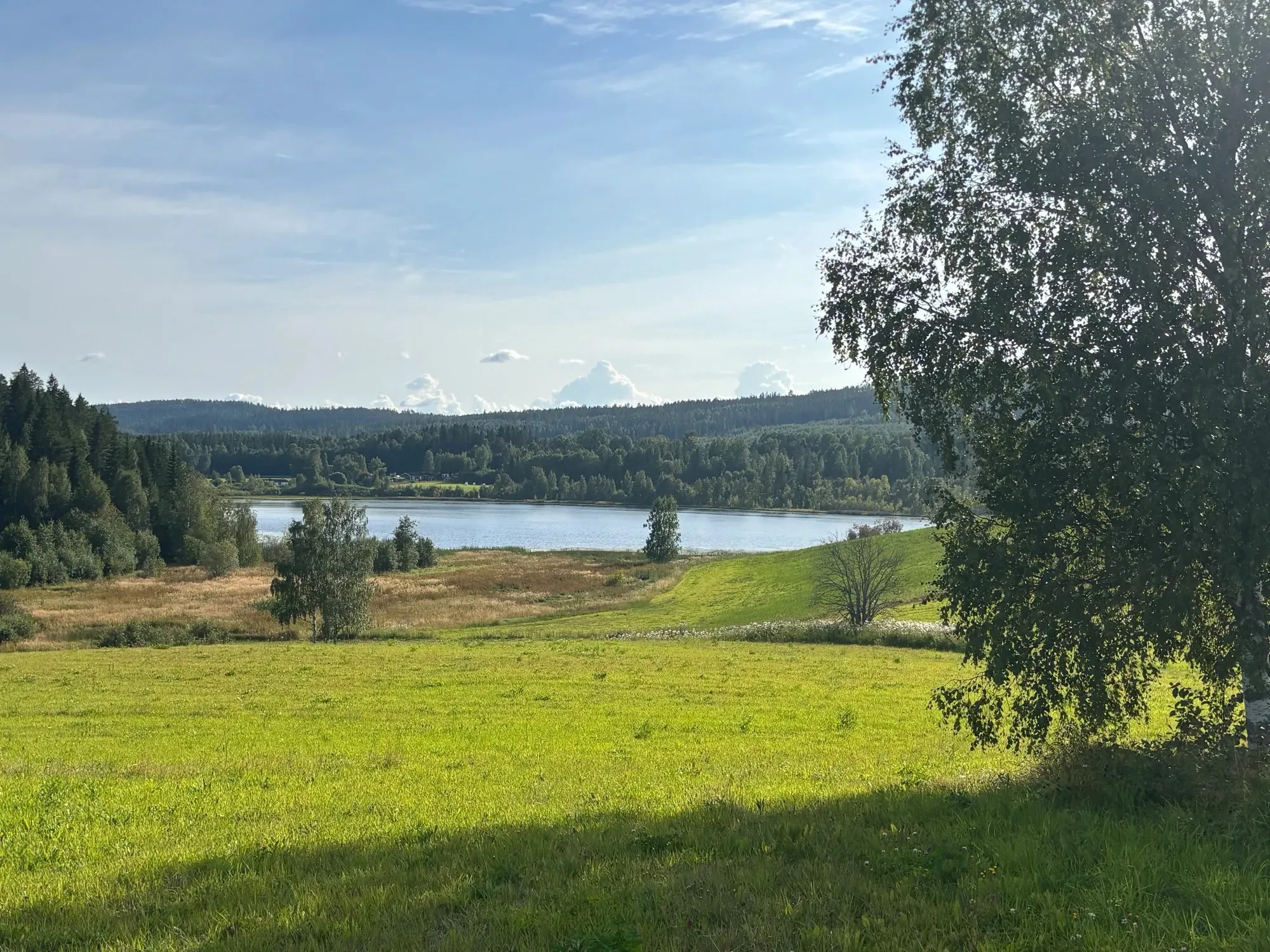 Gåltjärn