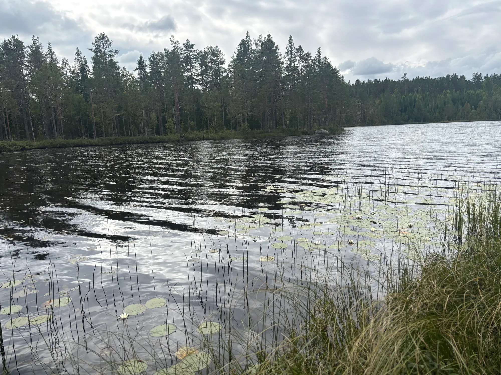 Sörsjön