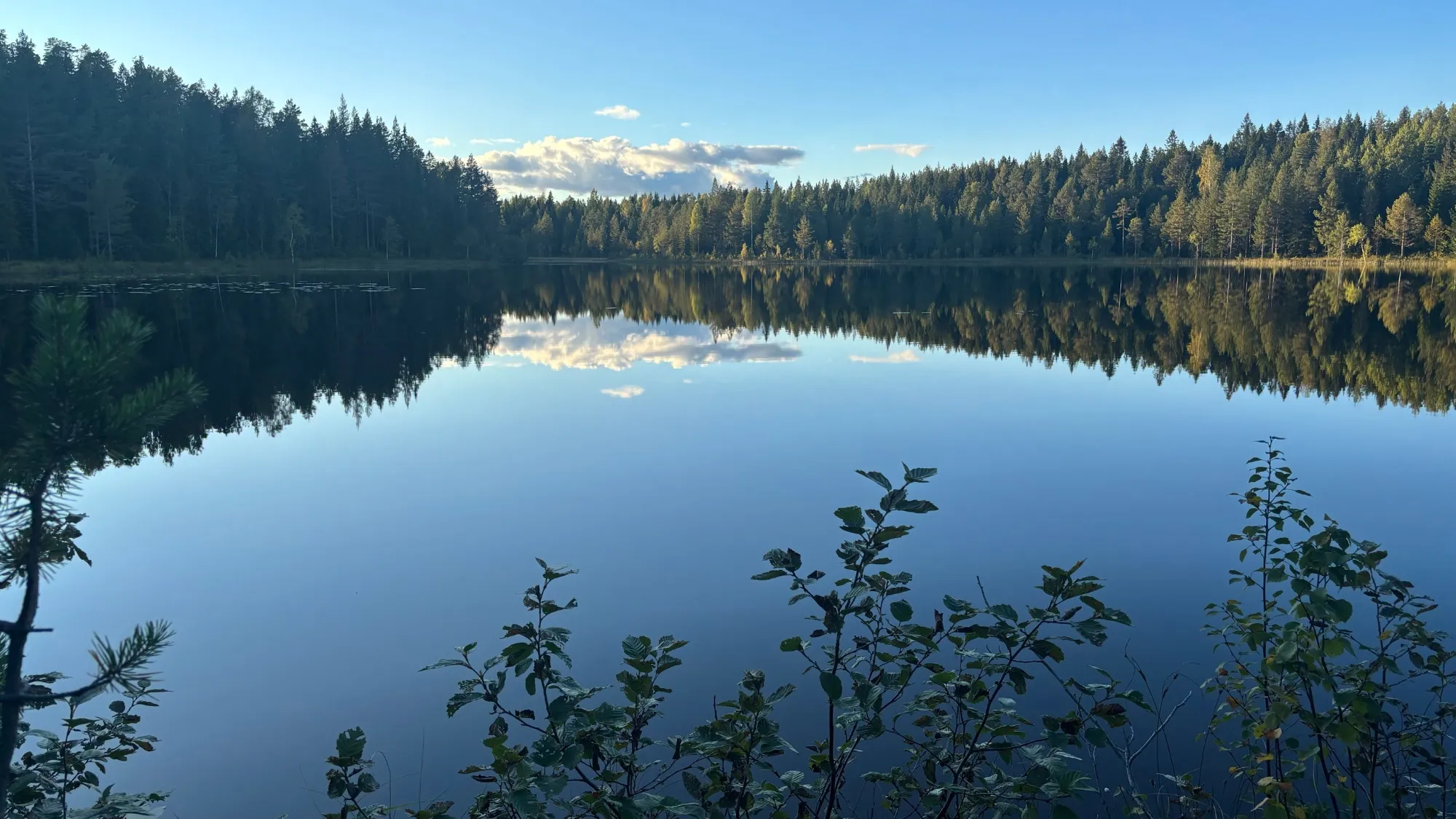 Fallbotjärn