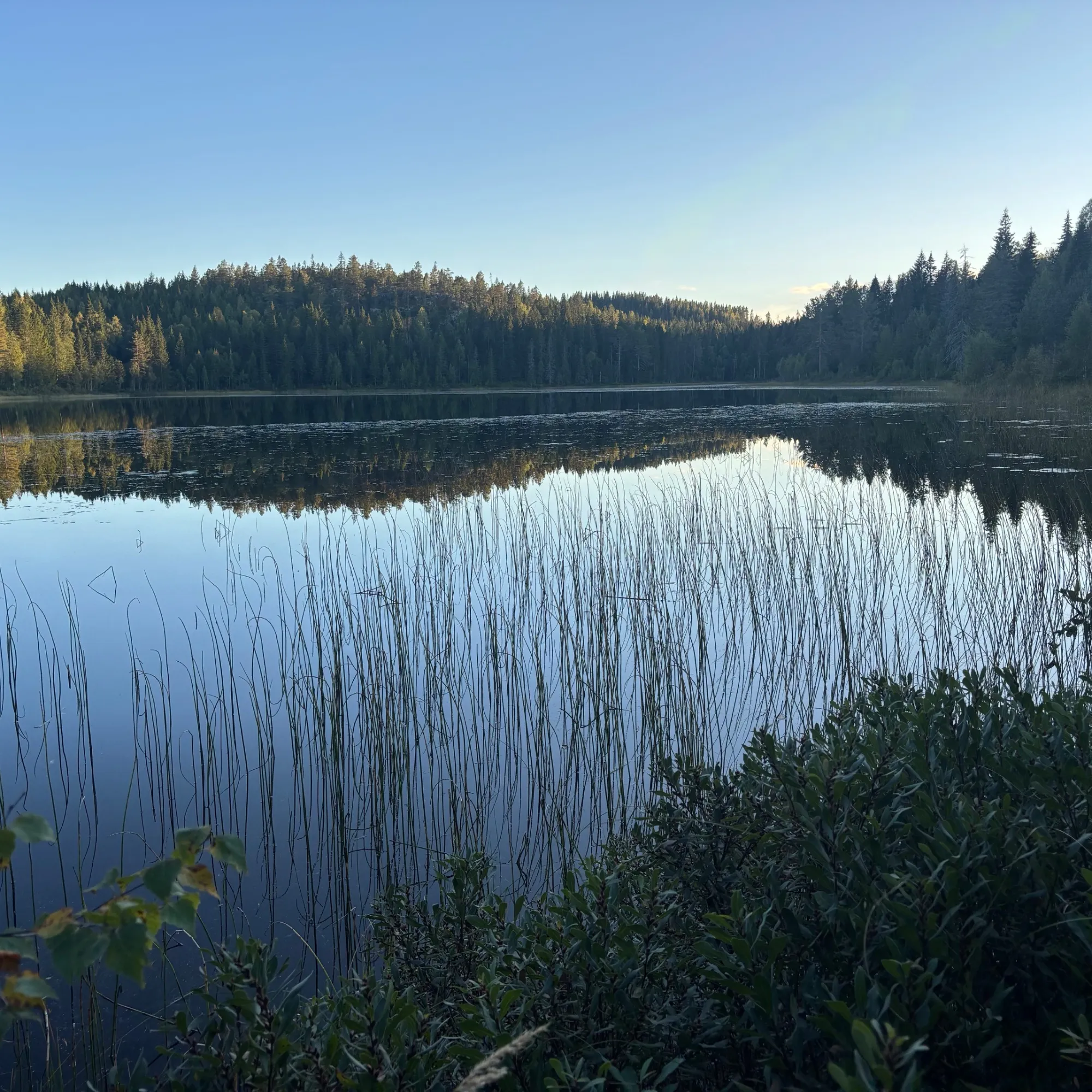 Fäbosjön