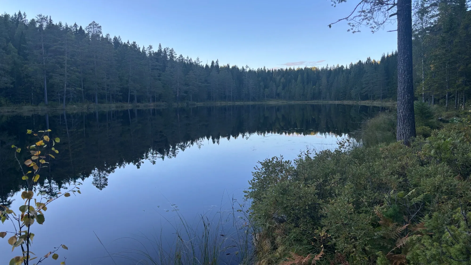 Långtjärn